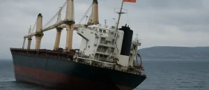 Drones sink vessel off Bulgaria Black Sea coast, Radev says