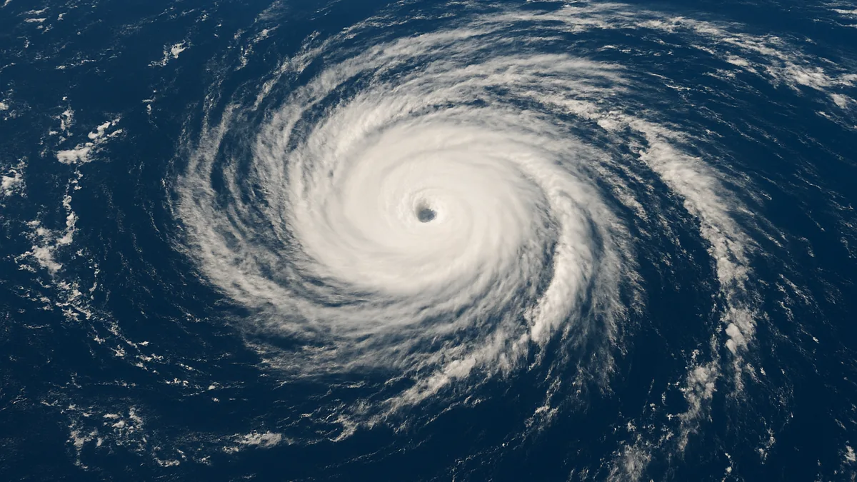 El Niño impacts: wildfires, storms and drought worldwide