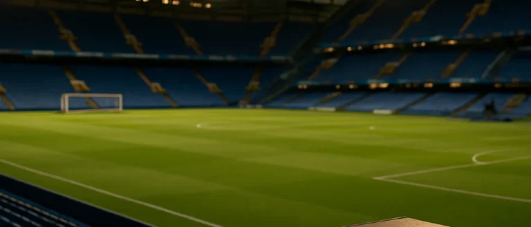 Regulator expects Man City appeal to be heard by January