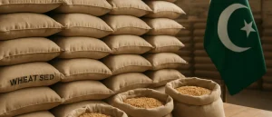 Wheat seed prices: minister urges private firms to cut costs